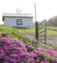 Appalachian Quilt Trail