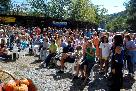 FallFest09_crowd.jpg