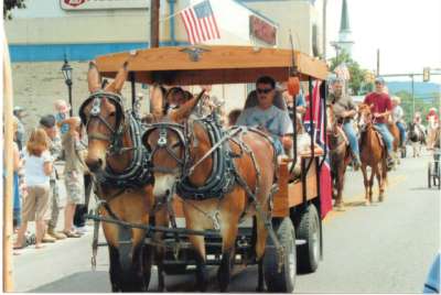 parade72009.jpg